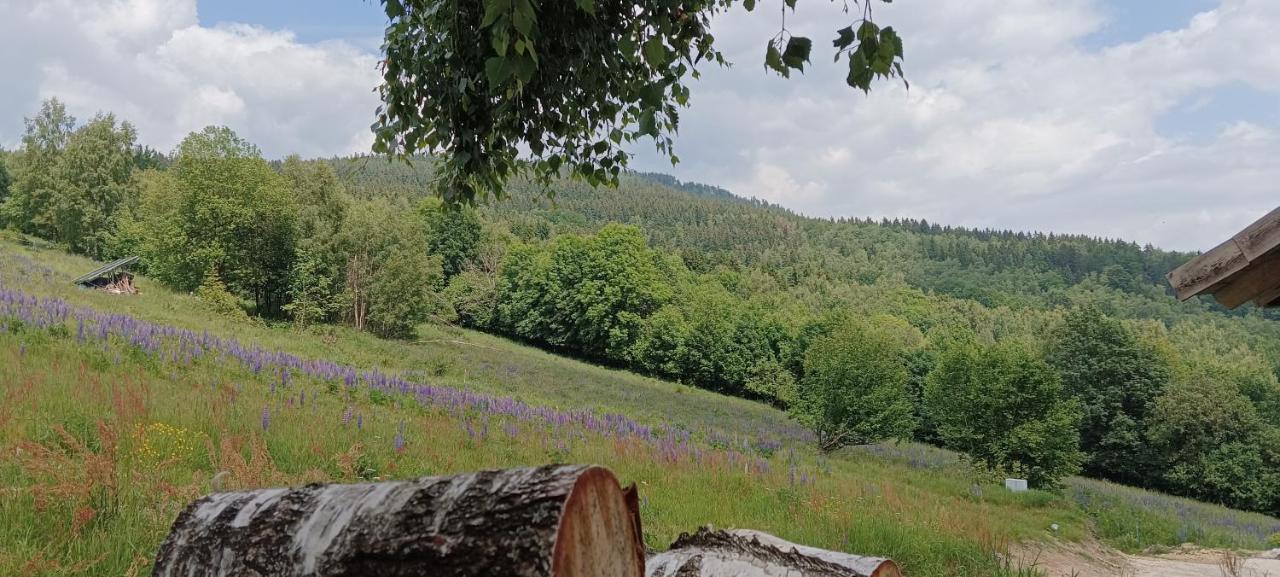 Enklawa W Porebie Długopole-Zdrój Exterior foto